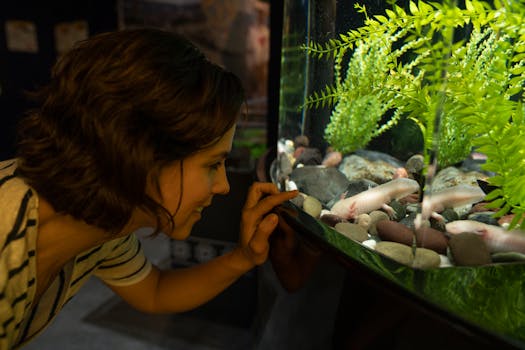 Fire Belly Newt Care: A Beginner’s Guide to Happy, Healthy Newts